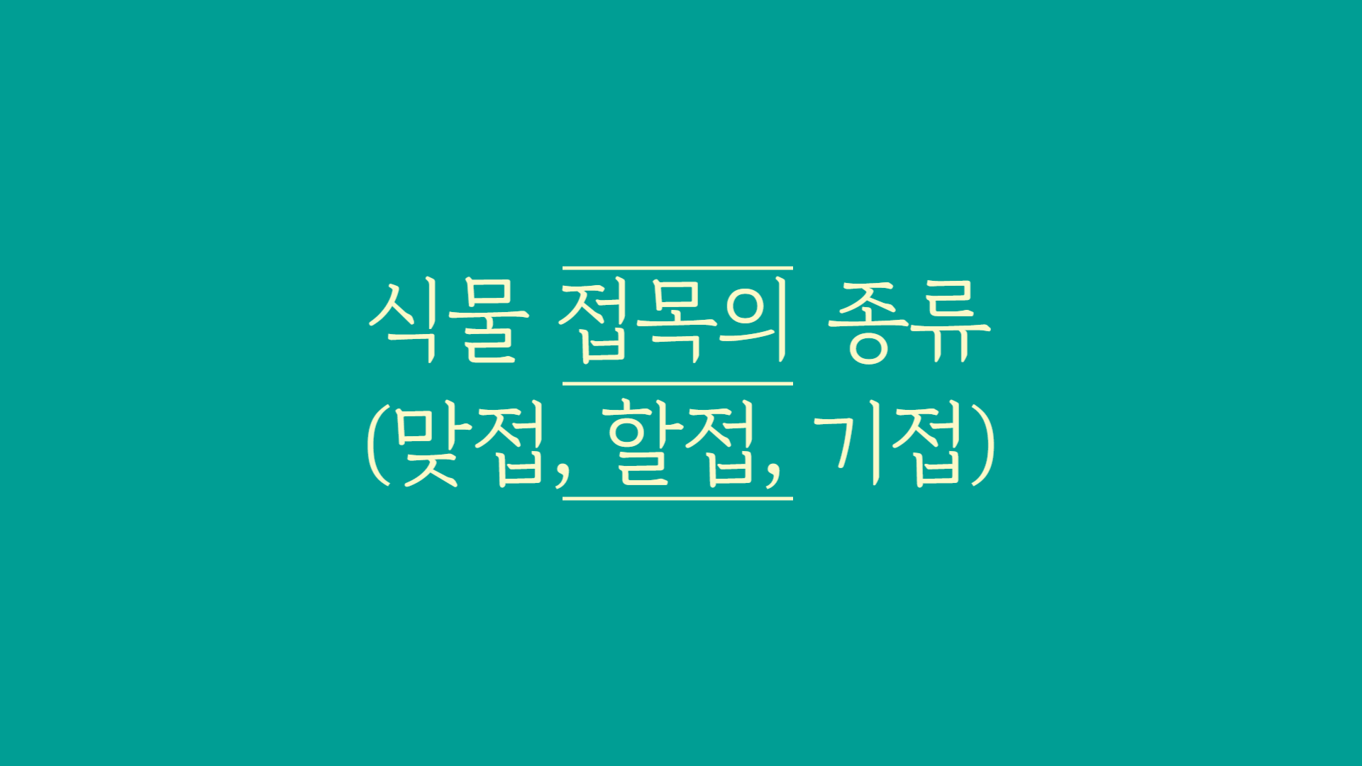 접목-종류